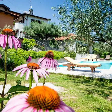 Apartman Zoi
