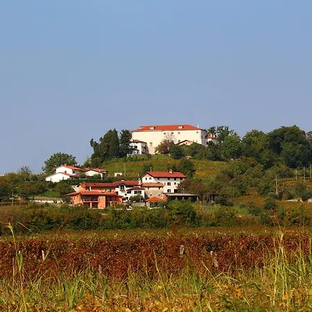 Zoi Apartman