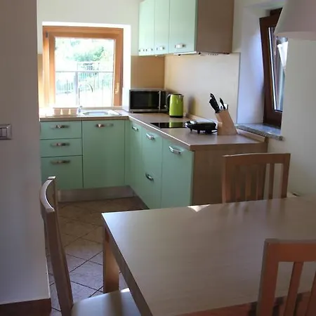 Apartment Zoi Dobrovo