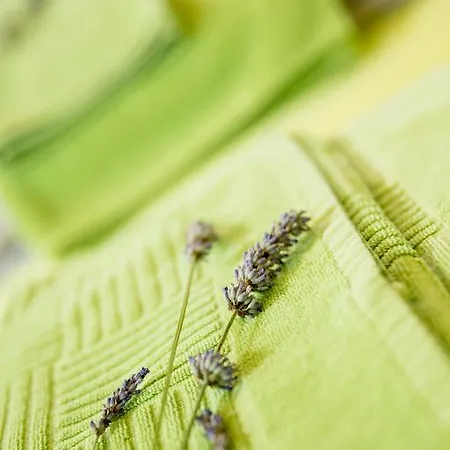 Appartement Zoi Dobrovo