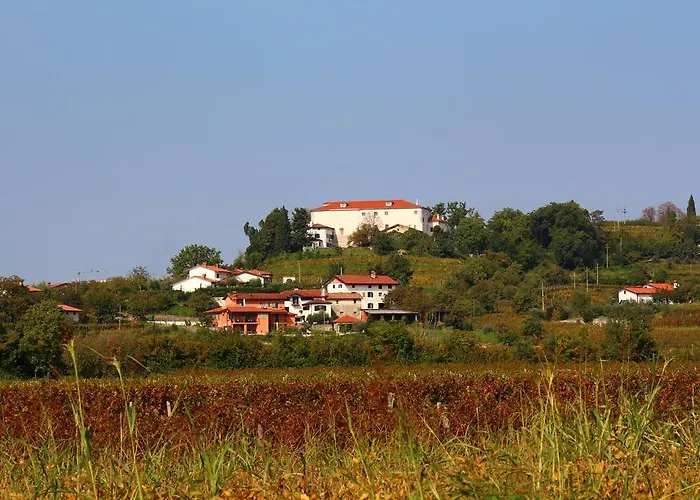 Zoi Διαμέρισμα