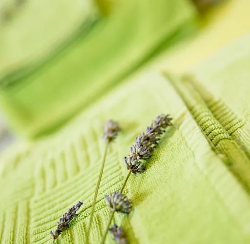 Διαμέρισμα Zoi Dobrovo